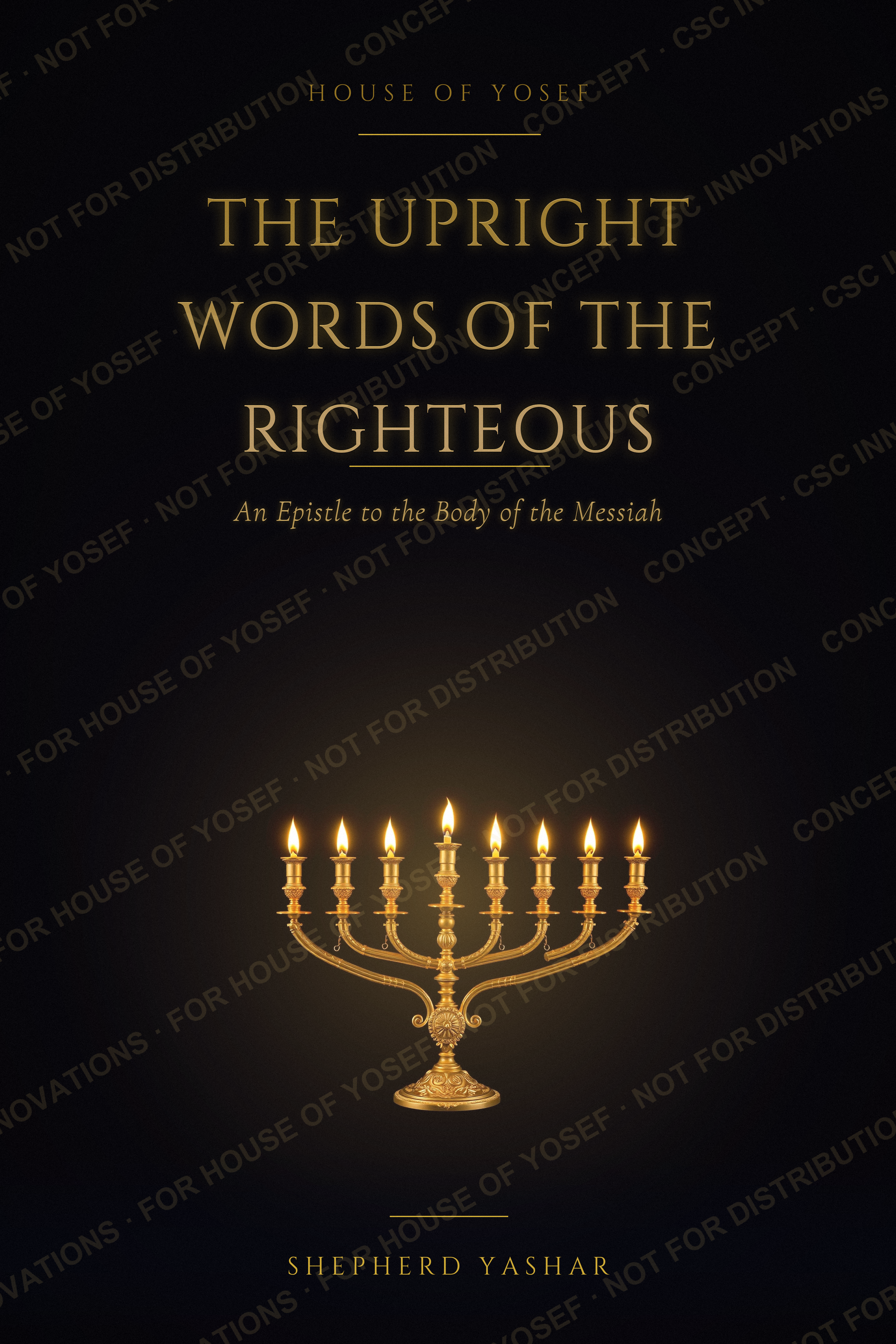 The Upright Words of the Righteous — book cover
